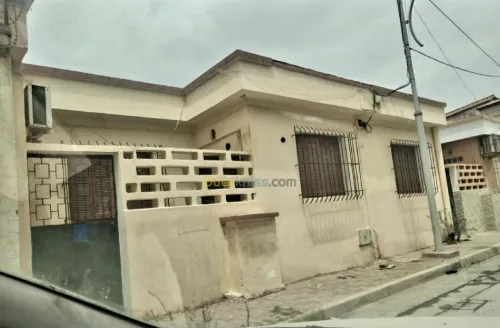 Vente Terrain Blida Blida
