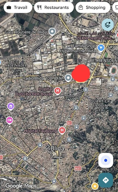 Vente Villa Blida Blida