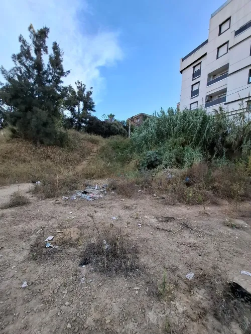 Vente Terrain Alger Bordj el kiffan
