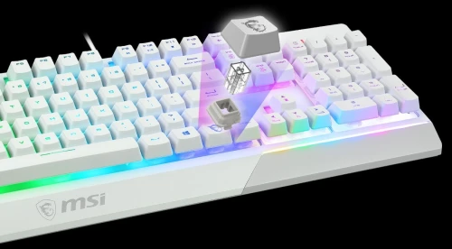 COMBO CLAVIER & SOURIS MSI VIGOR GK30 SEMI MECANIQUE WHITE TVD