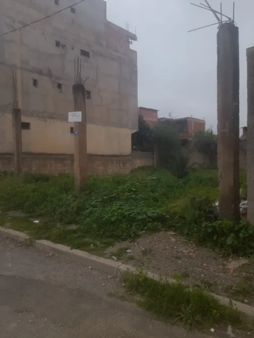 Vente Terrain Blida Bougara
