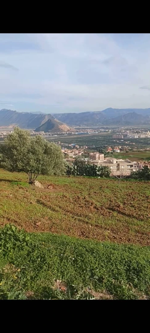 Vente Terrain Béjaïa Akbou