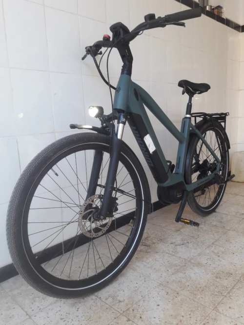 Vélo électrique WINORA sinus 9