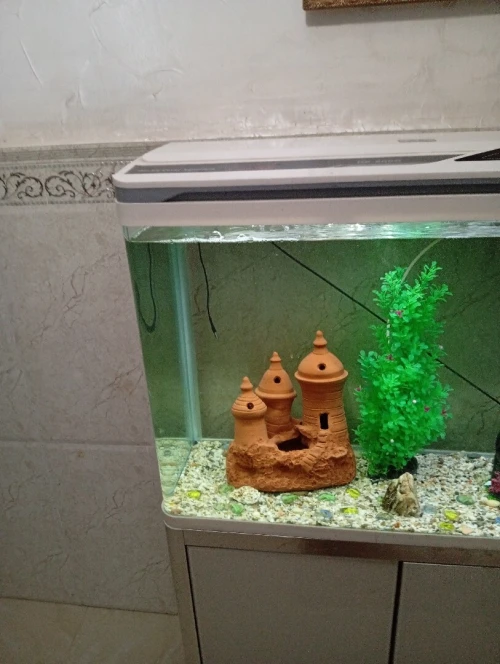 A vendre aquarium 