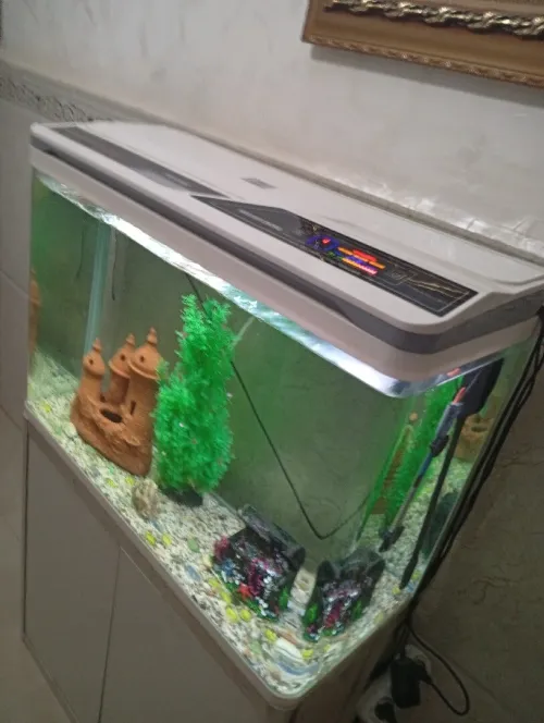 A vendre aquarium 