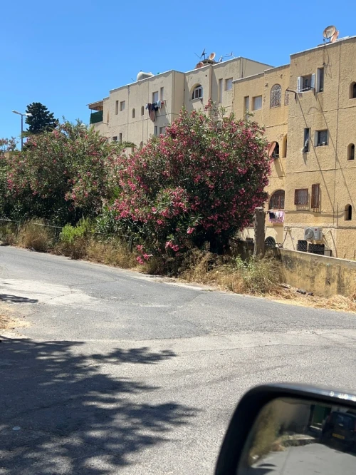 Vente Appartement F3 Alger Kouba