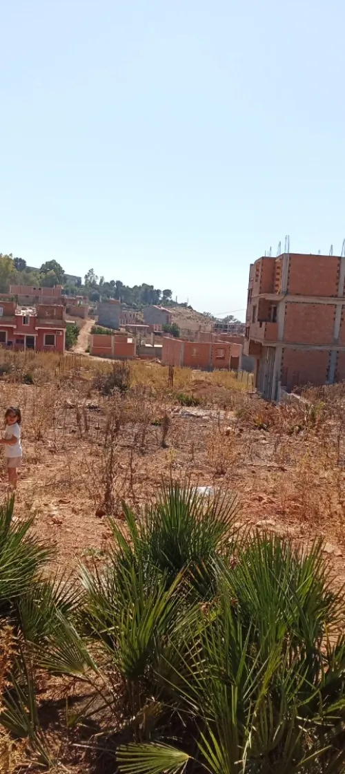 Vente Terrain Blida Meftah