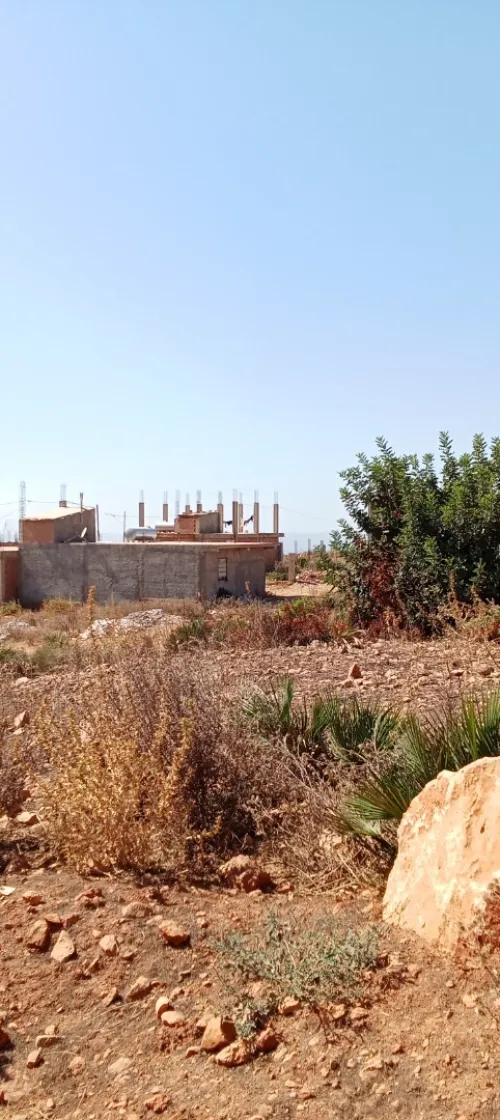 Vente Terrain Blida Meftah
