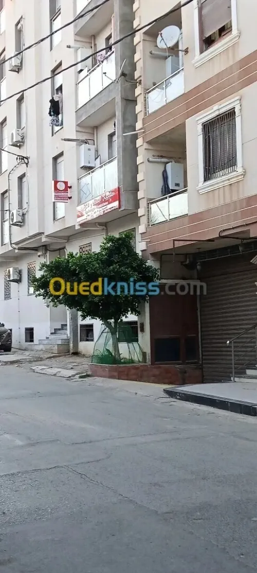Location Local Alger Ain taya