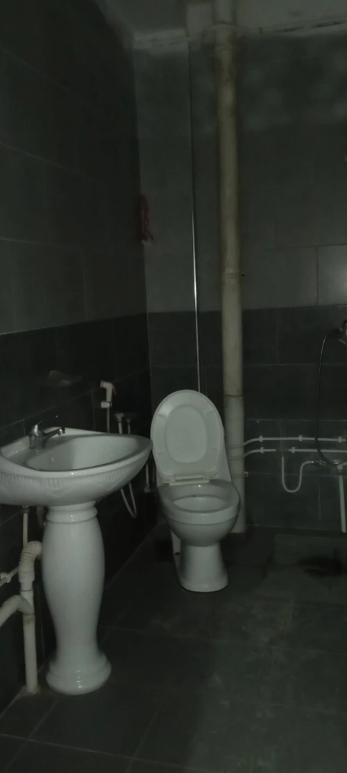Location Appartement Studio Alger Hraoua