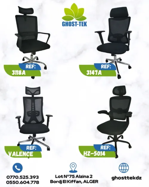 chaises ergonomiques