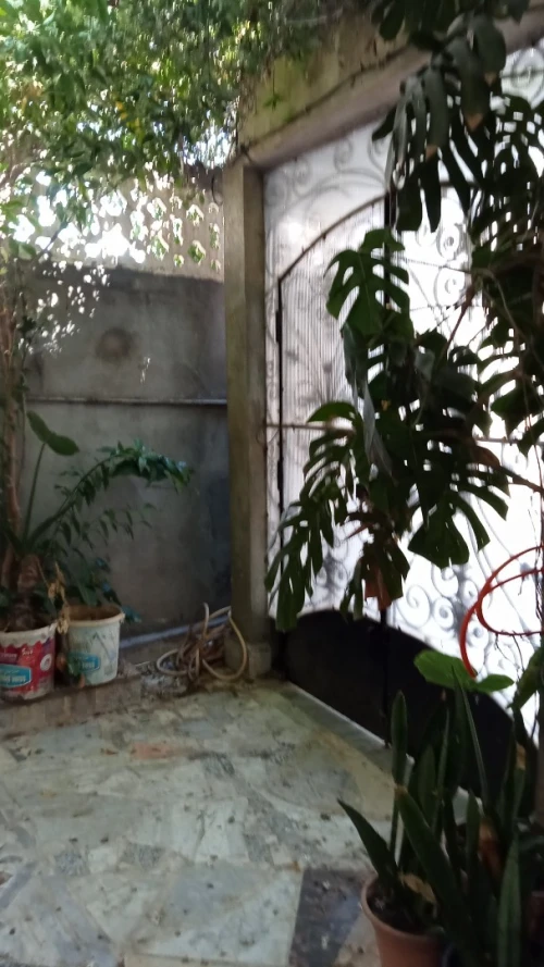 Vente Villa Jijel Jijel