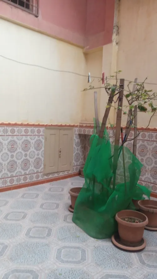 Vente Villa Oran El Kerma