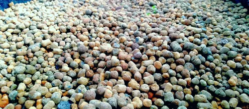 لوازم الزراعة المائية  Hydroponics 