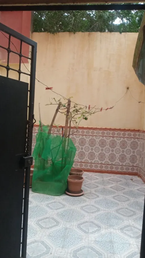 Vente Villa Oran El Kerma