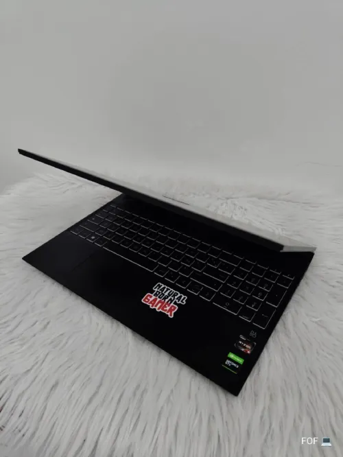  HP GAMING Processeur : Ryzen 5 3550H with  Viga8 2Gb + Gtx 1050 2 Gb