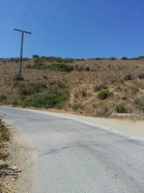 Vente Terrain Boumerdes Djinet