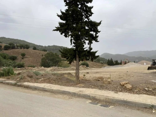 Vente Villa Blida El affroun