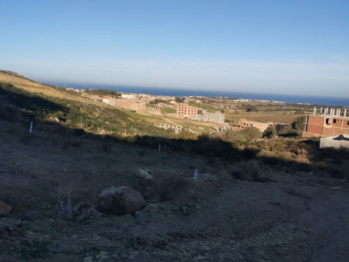 Vente Terrain Boumerdès Zemmouri