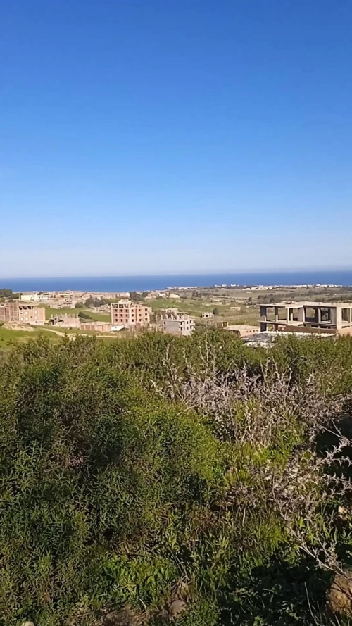 Vente Terrain Boumerdès Zemmouri