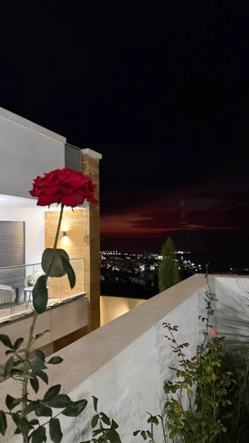 Location vacances Villa Tipaza Tipaza