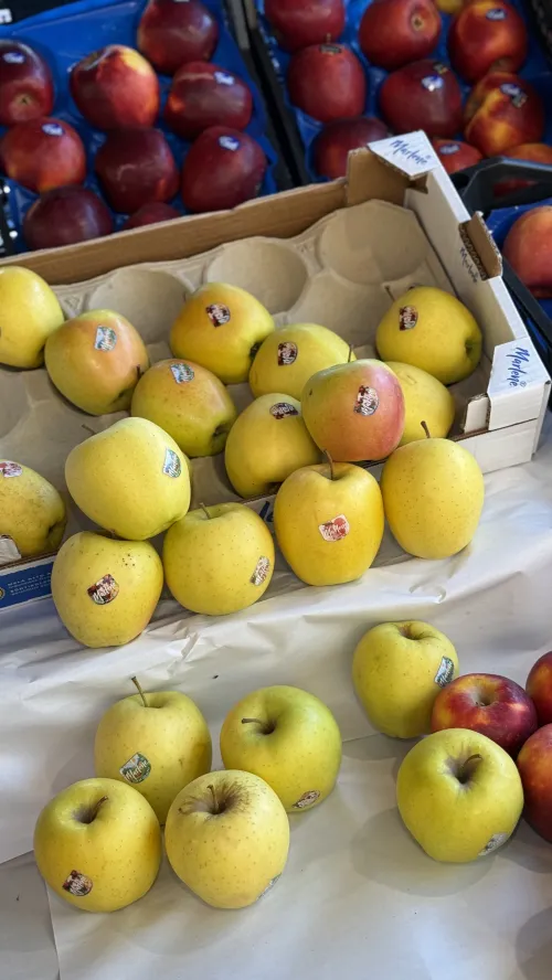 Traiteur de fruits