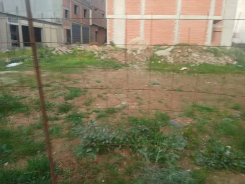 Vente Terrain Boumerdès Ouled hedadj