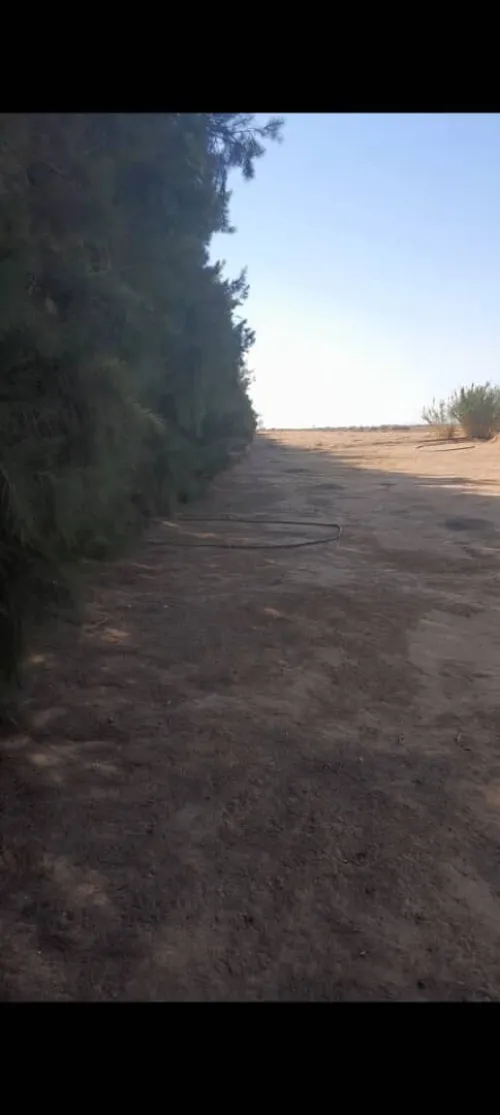 Vente Terrain Agricole Biskra Oumache