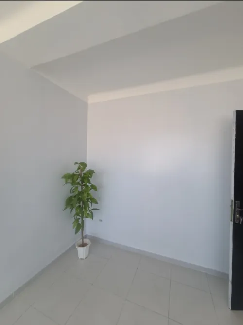 Vente Appartement F3 Aïn Defla Hammam righa