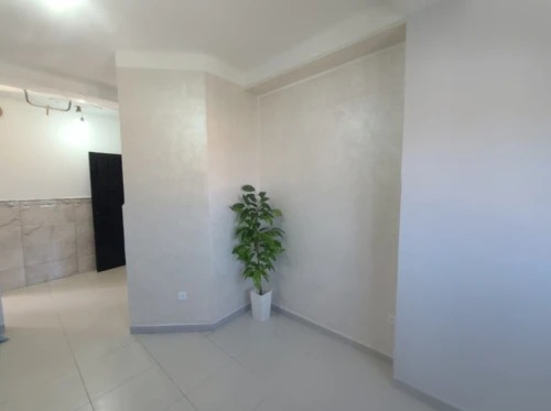 Vente Appartement F3 Aïn Defla Hammam righa