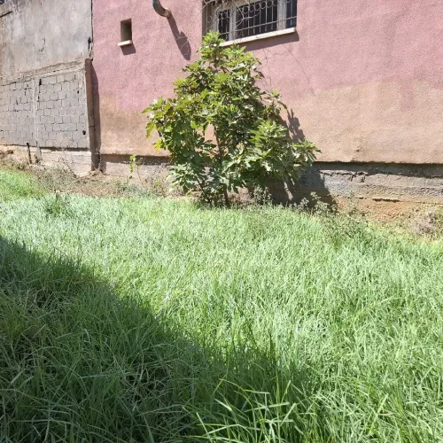 Vente Terrain Alger Birkhadem