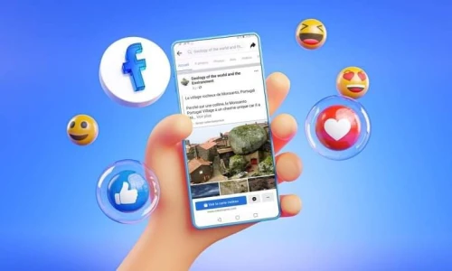 Social Media Planification