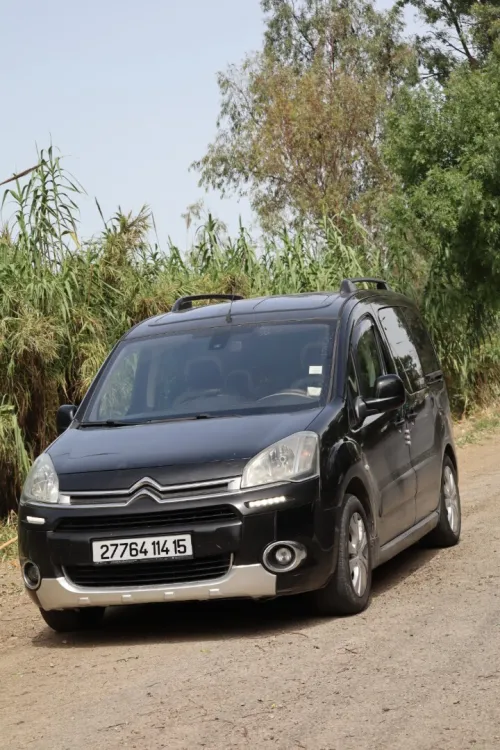 Citroen Berlingo 2014 Berlingo