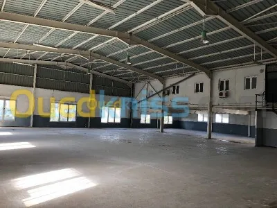 Vente Hangar - Usine Alger Reghaia