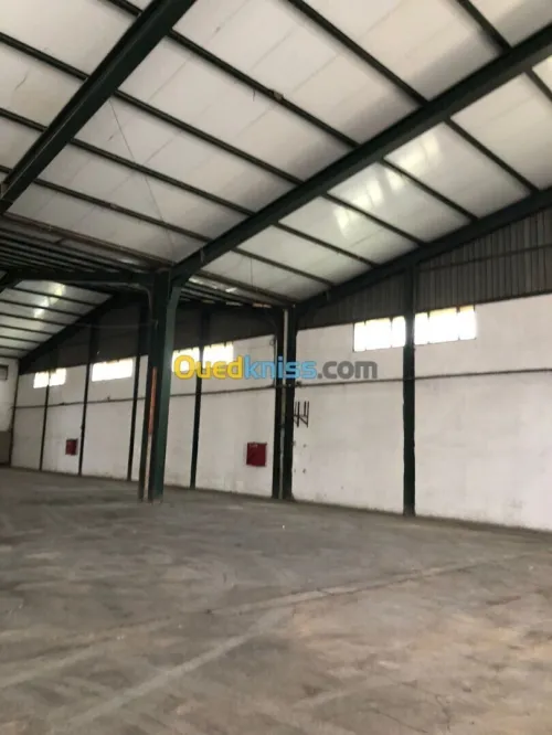 Location Hangar - Usine Alger Baraki