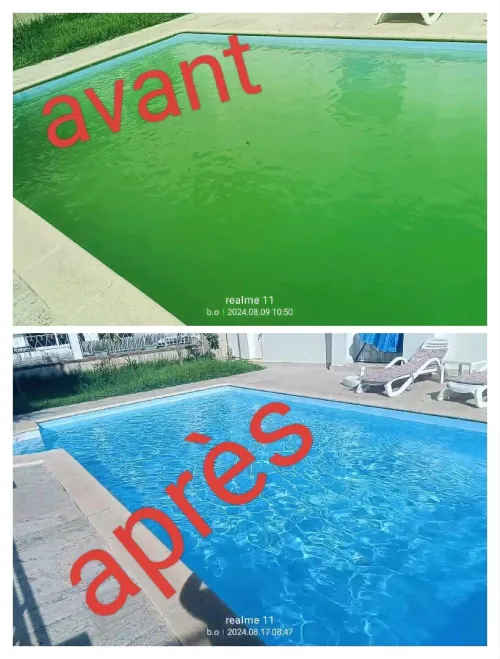  pisciniste 