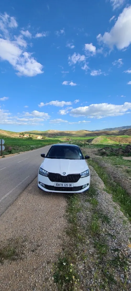 Skoda Fabia 2020 Monte Carlo