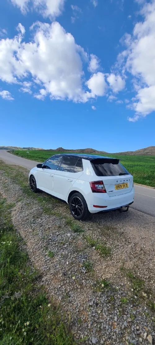 Skoda Fabia 2020 Monte Carlo