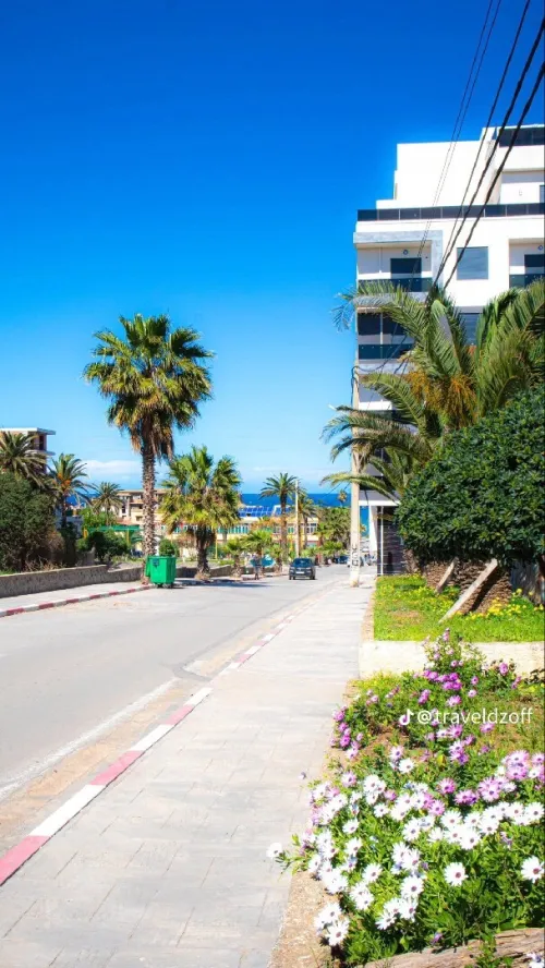 Vente Appartement F2 F3 F4 Alger Ain taya