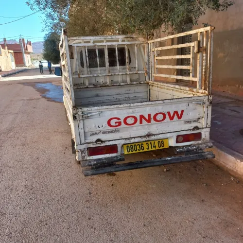 Chana Gonow 2014 