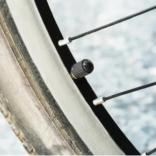 Bouchons de Valve de pneu de voiture 10 pièces
