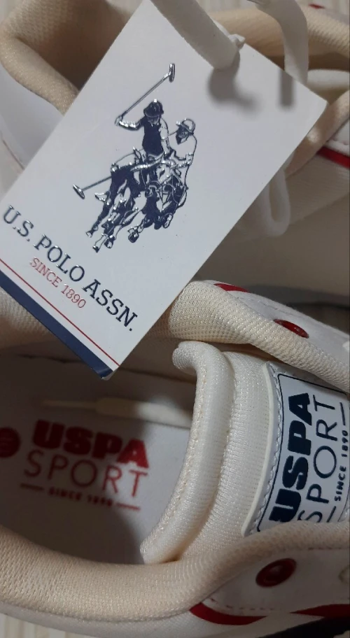 Basquette US polo usa