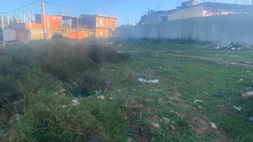 Vente Terrain El taref Bouteldja