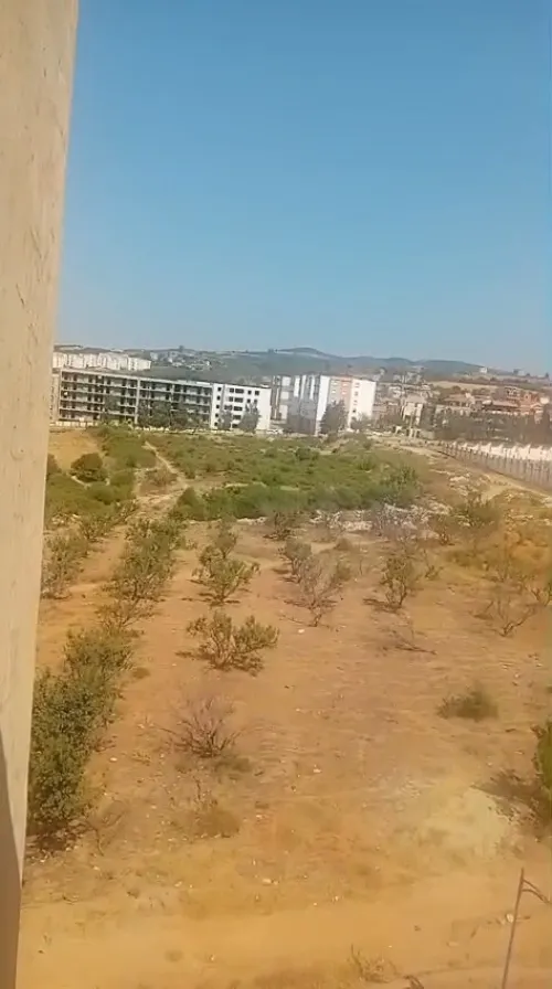 Vente Appartement F3 Boumerdès Boumerdes 15