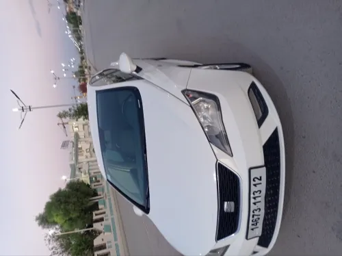 Seat Ibiza 2013 Fully