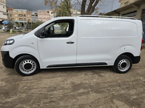 Fiat Scodo 2023 Par 15