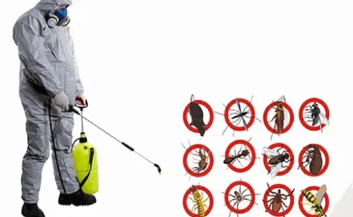 Dératisation et Désinsectisation مكافحة الحشرات والقوارض