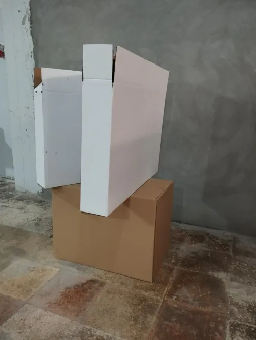 Transformation De Carton Ondulé