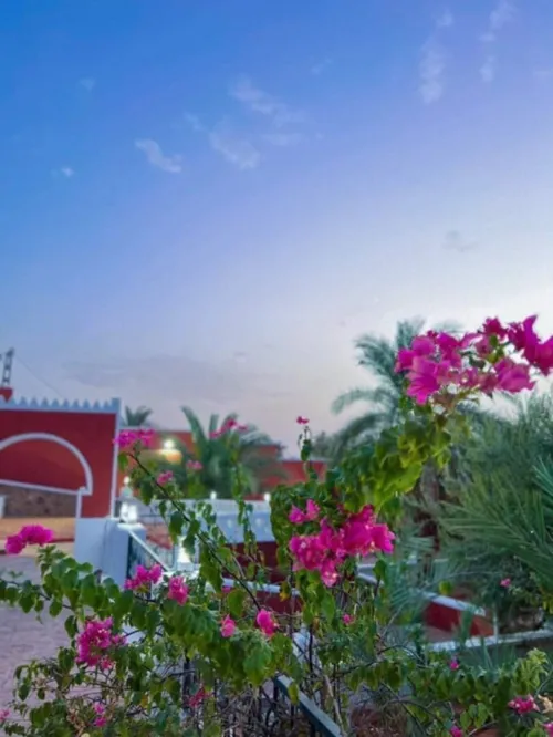 Vacances de printemps à Timimoun par avion  Du 25 au 28 mars   dans une magnifique maison  Dar Sanasa