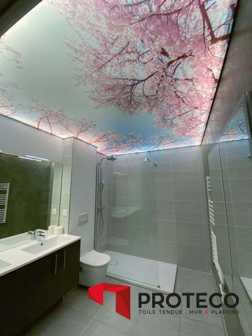 PROTECO-PLAFOND TENDU-TOILE TENDUE 